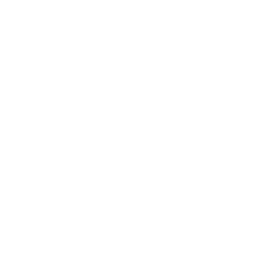 Security icon